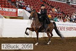 12buck_2056 proof
