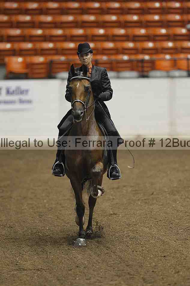 Proof 12buck_2058