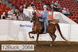 12buck_2064 proof
