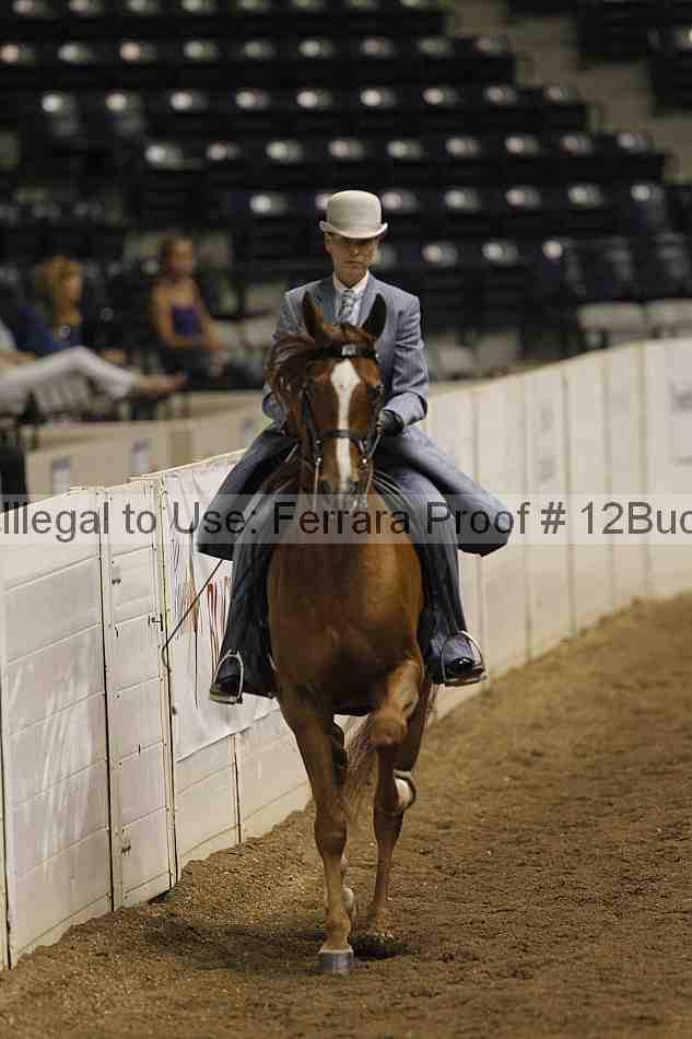 Proof 12buck_2065