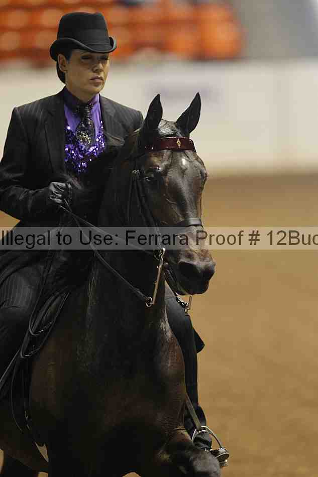 Proof 12buck_2067