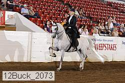 12buck_2073 proof