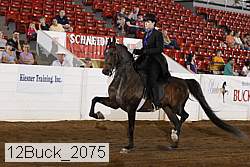 12buck_2075 proof