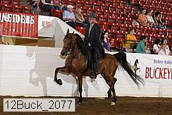 12buck_2077 proof