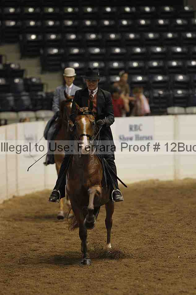 Proof 12buck_2085