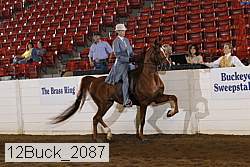 12buck_2087 proof