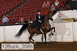 12buck_2088 proof