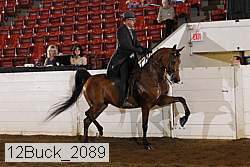 12buck_2089 proof