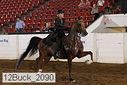 12buck_2090 proof