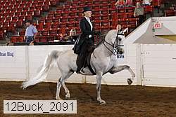 12buck_2091 proof