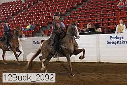 12buck_2092 proof