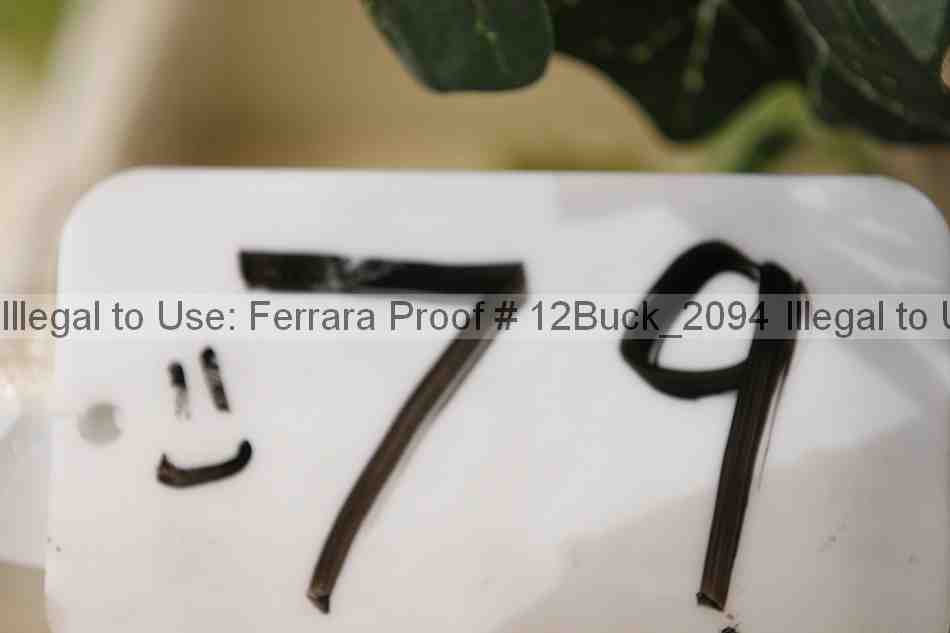 Proof 12buck_2094