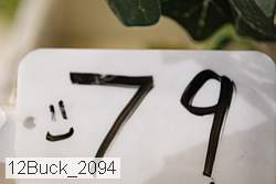 12buck_2094 proof