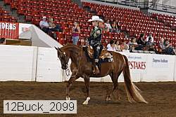 12buck_2099 proof