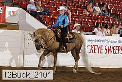 12buck_2101 proof