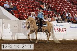 12buck_2110 proof