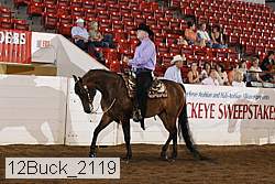 12buck_2119 proof