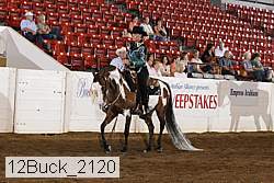 12buck_2120 proof