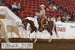 12buck_2126 proof