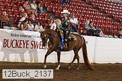12buck_2137 proof