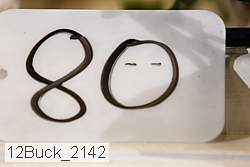 12buck_2142 proof