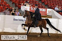 12buck_2143 proof