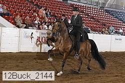 12buck_2144 proof
