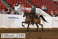 12buck_2145 proof