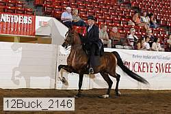 12buck_2146 proof