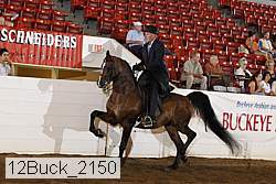 12buck_2150 proof