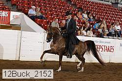 12buck_2152 proof