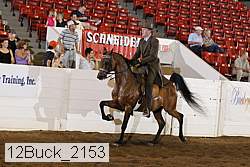12buck_2153 proof