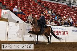 12buck_2155 proof