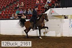 12buck_2161 proof