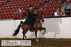 12buck_2163 proof