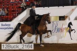 12buck_2164 proof