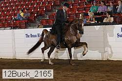 12buck_2165 proof