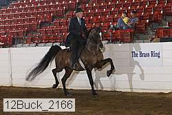 12buck_2166 proof