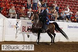 12buck_2167 proof