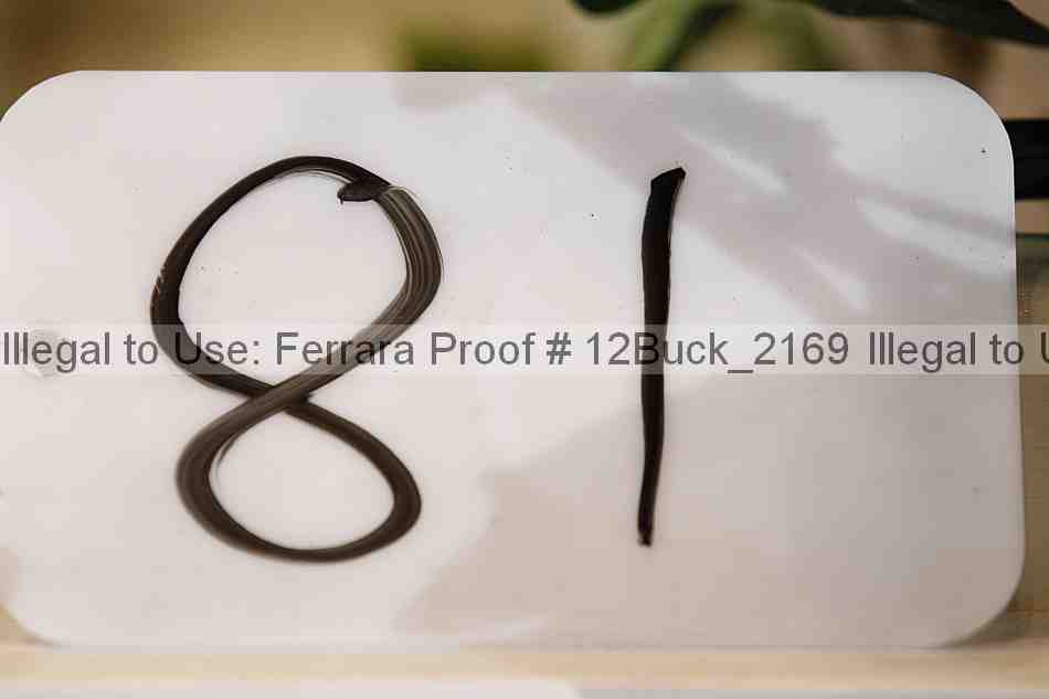 Proof 12buck_2169
