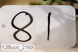 12buck_2169 proof