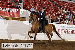 12buck_2172 proof
