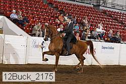 12buck_2175 proof