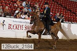 12buck_2184 proof