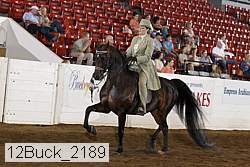 12buck_2189 proof