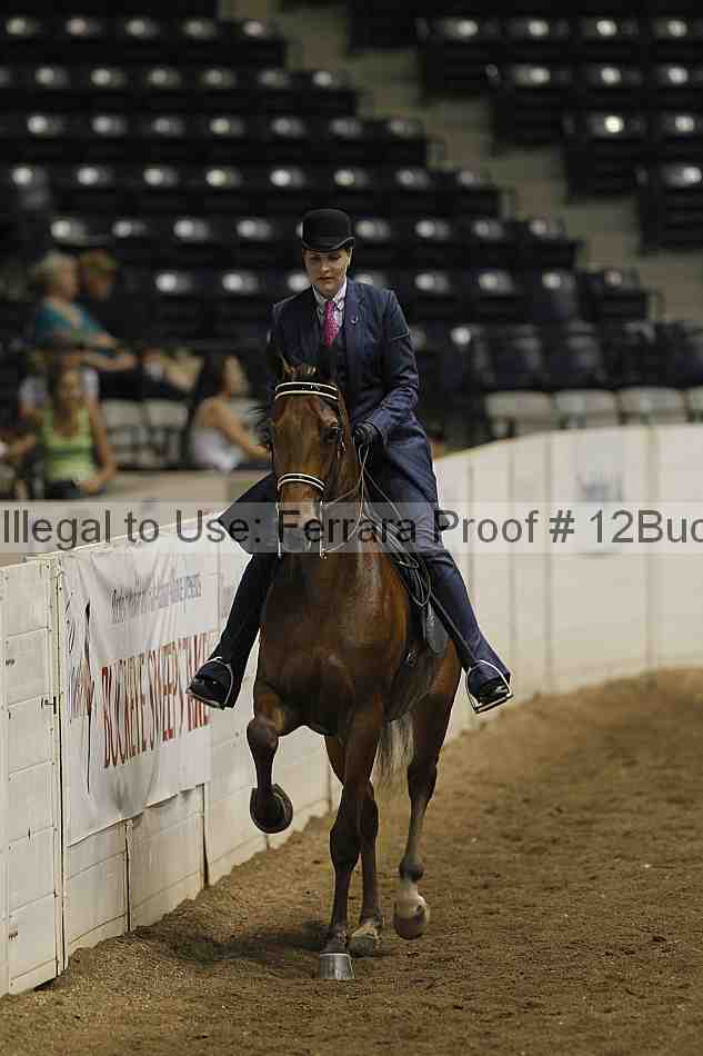 Proof 12buck_2196
