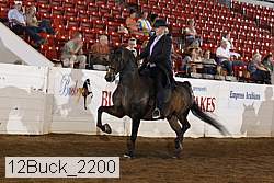 12buck_2200 proof
