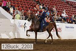 12buck_2203 proof