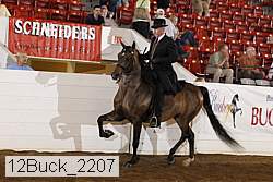 12buck_2207 proof