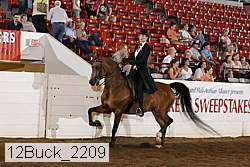 12buck_2209 proof